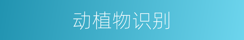 动植物识别的同义词
