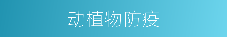 动植物防疫的同义词