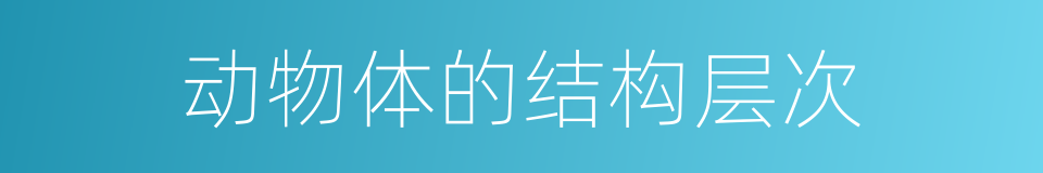 动物体的结构层次的同义词
