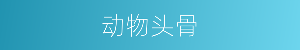 动物头骨的同义词
