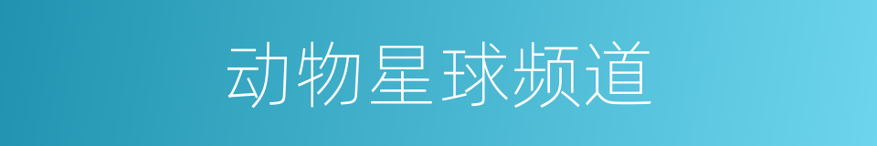 动物星球频道的同义词