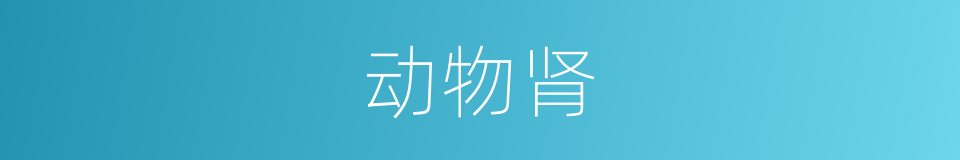 动物肾的同义词