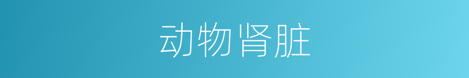 动物肾脏的同义词