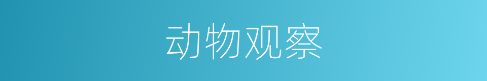 动物观察的同义词