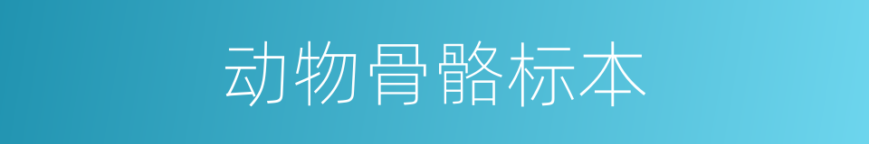 动物骨骼标本的同义词