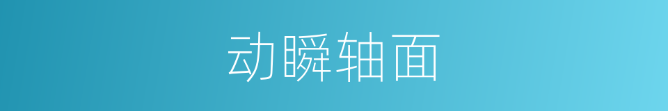 动瞬轴面的同义词