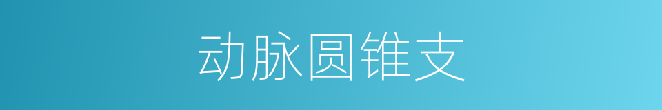 动脉圆锥支的同义词