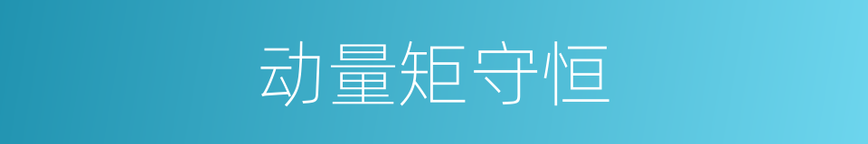动量矩守恒的同义词