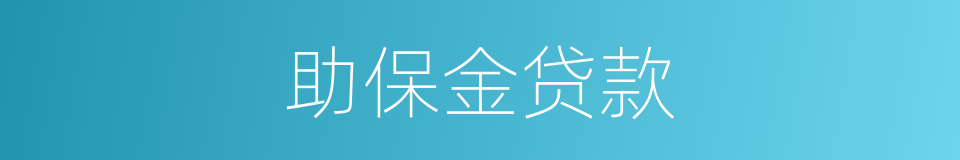 助保金贷款的同义词