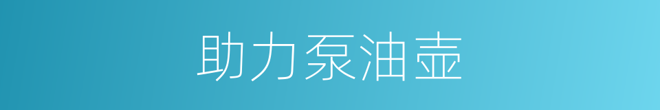 助力泵油壶的同义词