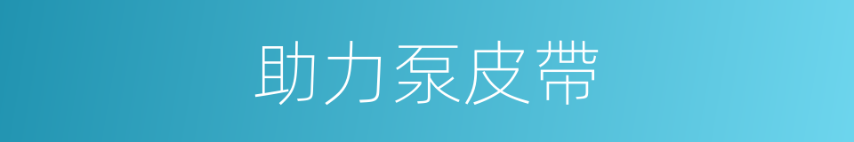 助力泵皮帶的同義詞