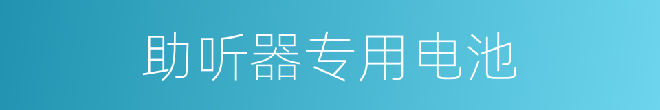 助听器专用电池的同义词