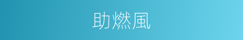 助燃風的同義詞