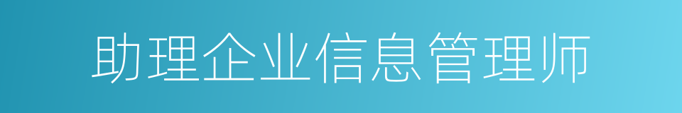 助理企业信息管理师的同义词