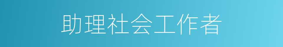 助理社会工作者的同义词
