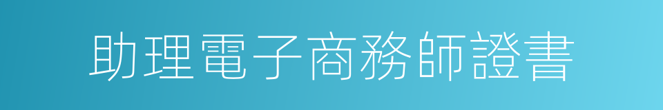 助理電子商務師證書的同義詞