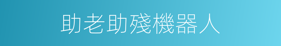 助老助殘機器人的同義詞