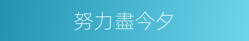 努力盡今夕的同義詞