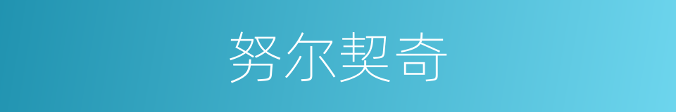 努尔契奇的同义词