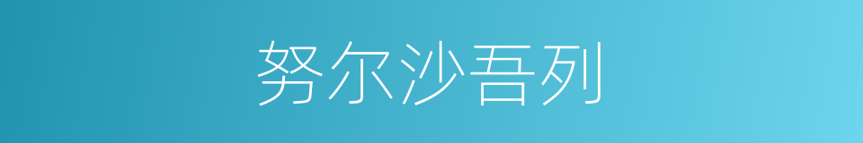 努尔沙吾列的同义词