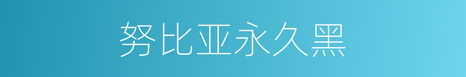 努比亚永久黑的同义词