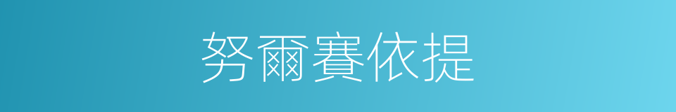 努爾賽依提的同義詞