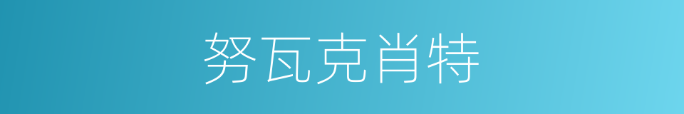 努瓦克肖特的意思