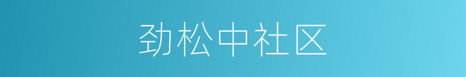 劲松中社区的同义词