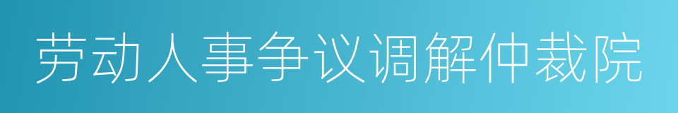 劳动人事争议调解仲裁院的同义词