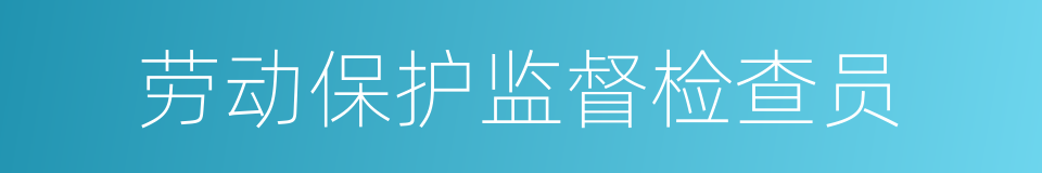 劳动保护监督检查员的同义词