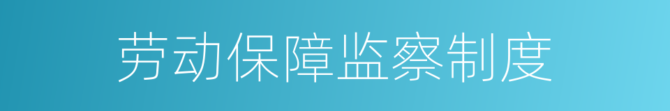 劳动保障监察制度的同义词
