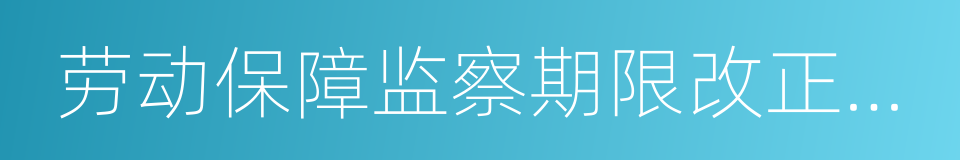 劳动保障监察期限改正指令书的同义词