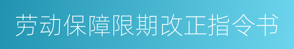 劳动保障限期改正指令书的同义词