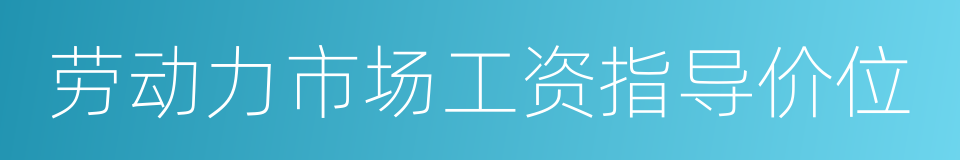 劳动力市场工资指导价位的同义词