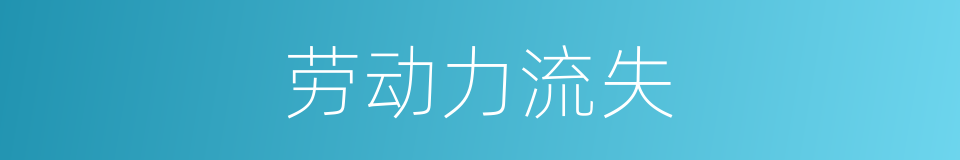 劳动力流失的同义词