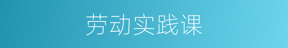 劳动实践课的同义词