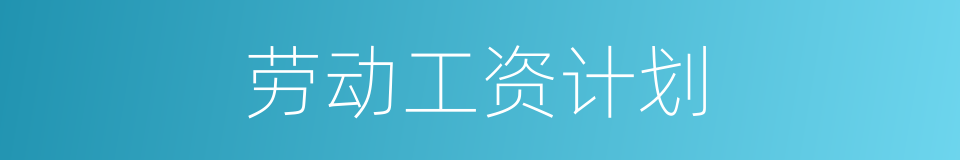 劳动工资计划的同义词