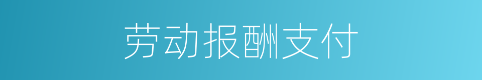 劳动报酬支付的同义词