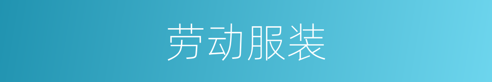 劳动服装的同义词