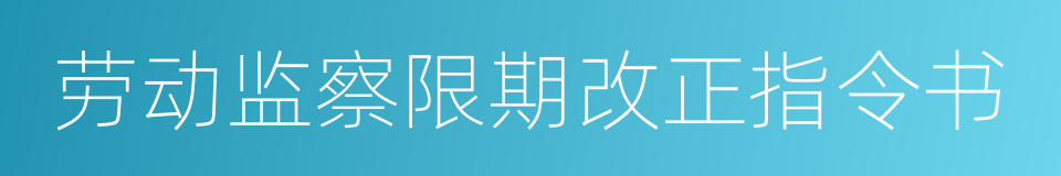 劳动监察限期改正指令书的同义词