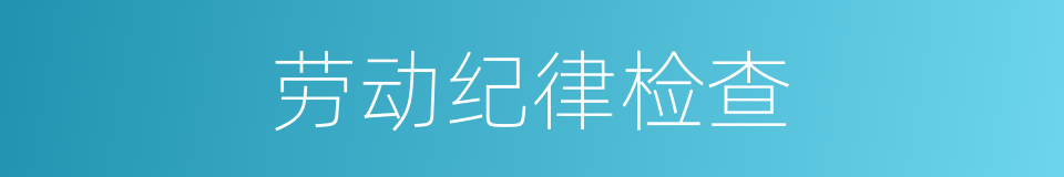 劳动纪律检查的同义词