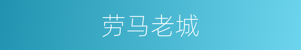劳马老城的同义词