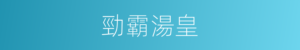 勁霸湯皇的同義詞