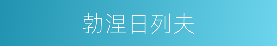 勃涅日列夫的同义词