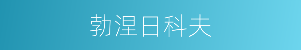 勃涅日科夫的同义词