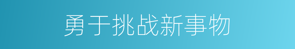 勇于挑战新事物的同义词