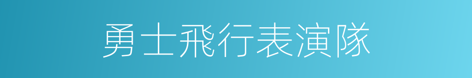 勇士飛行表演隊的同義詞