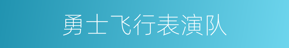 勇士飞行表演队的同义词