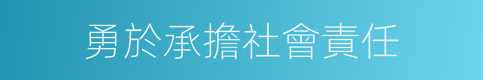 勇於承擔社會責任的同義詞