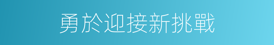 勇於迎接新挑戰的同義詞